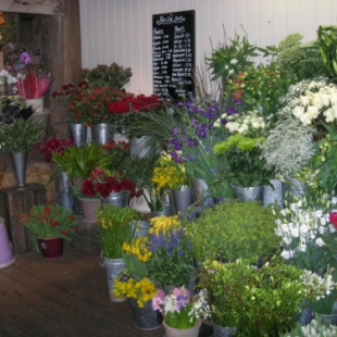 Florists in Cranbrook Sold