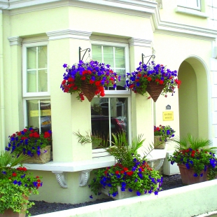 Two Guest Houses Sold in Same Street