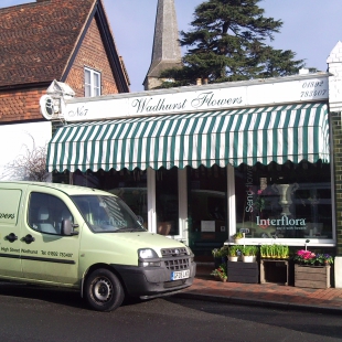 Wadhurst Flowers Sold by GPS-Direct